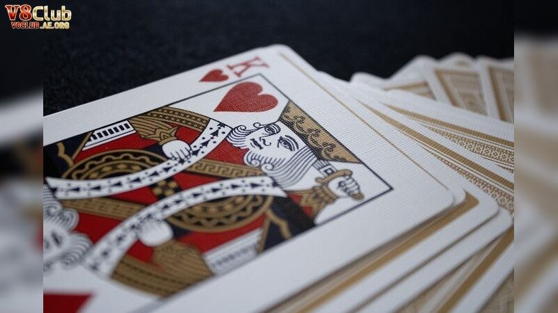 Chiến lược cá cược cho người mới