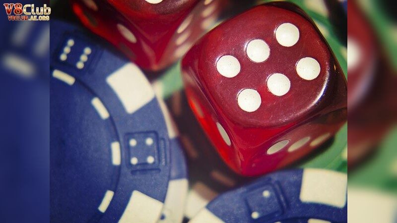 Chiến Thuật Tối Ưu Khi Sử Dụng Giftcode